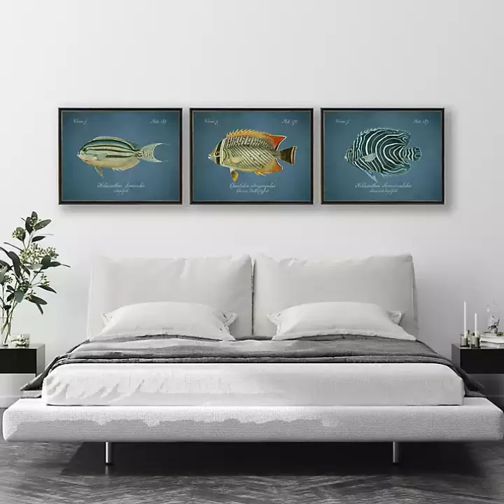 Store Semicircle Angelfish Framed Wall Art Framed Art