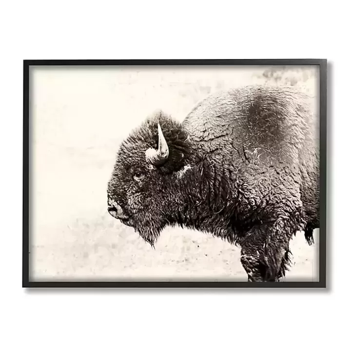 Clearance Shaggy Buffalo Black Framed Canvas Art Print Canvas Art