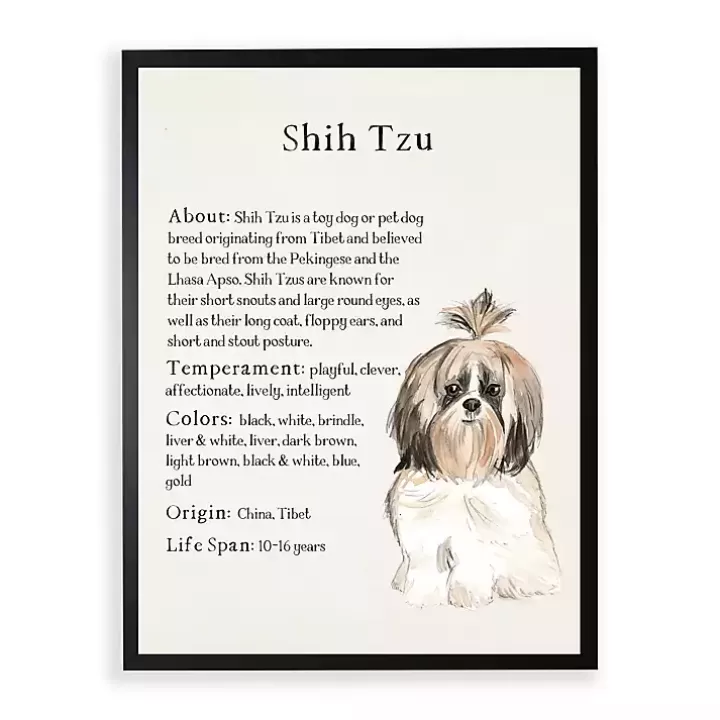 Store Shih Tzu Facts Framed Wall Plaque Wall Quotes & Signs