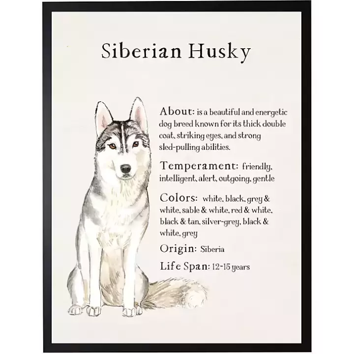 New Siberian Husky Facts Framed Wall Plaque Wall Quotes & Signs