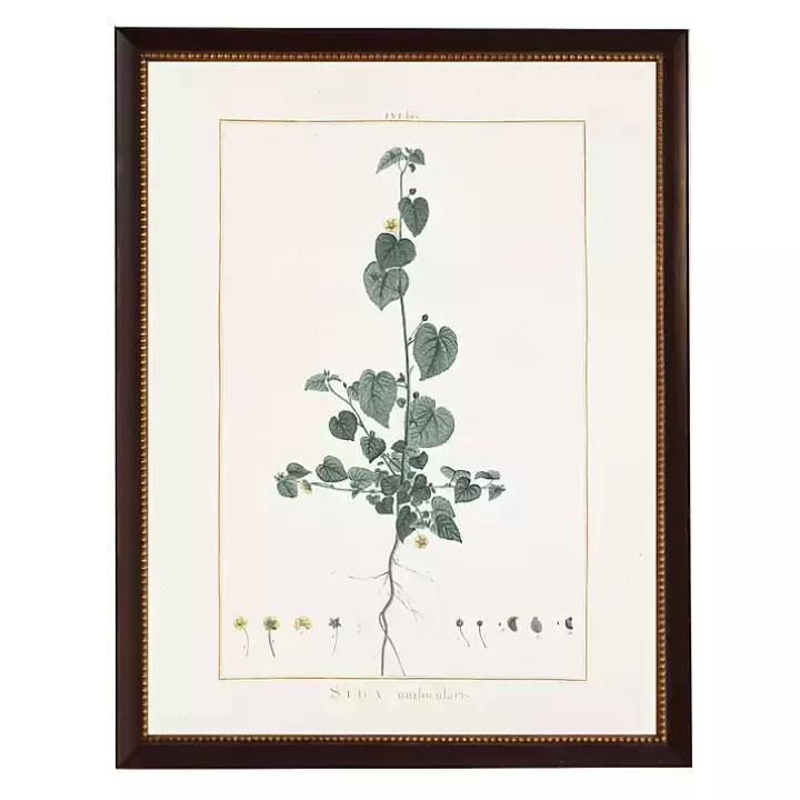 Store Sida Greenery Black Beaded Framed Art Print Framed Art