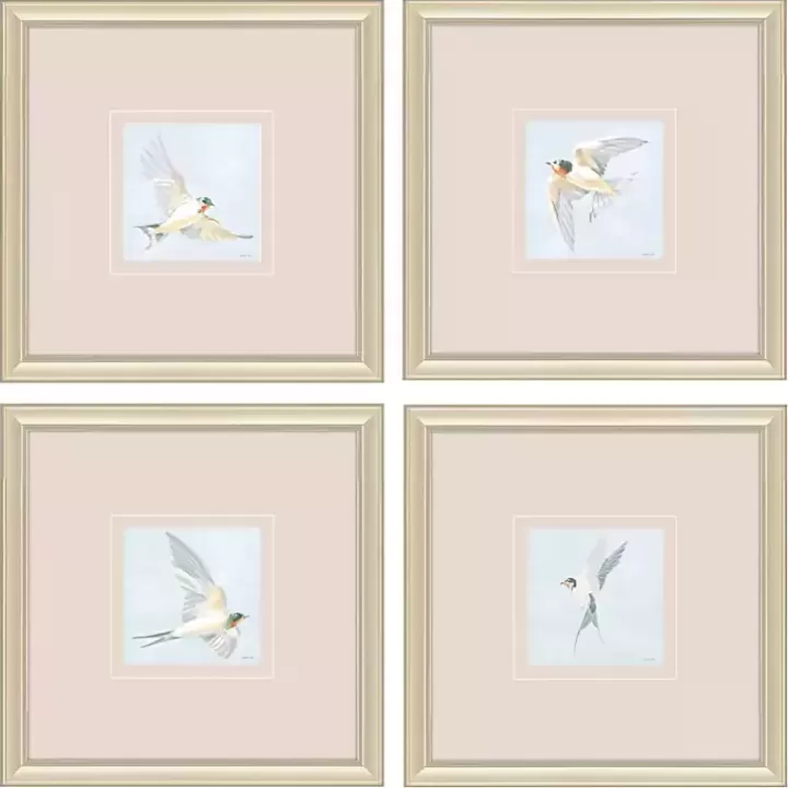 New Swift Birds Framed Art Prints, Set of 4 Framed Art