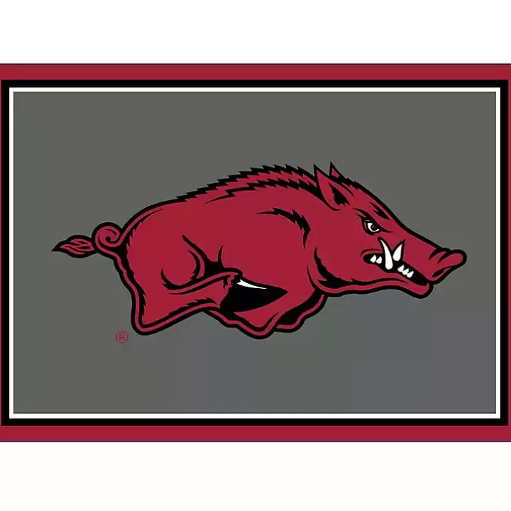 Sale University of Arkansas Area Rug, 3x4 Area Rugs