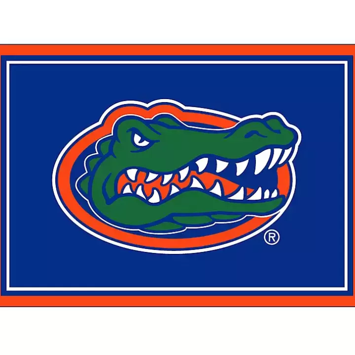 Flash Sale University of Florida Area Rug, 3x4 Area Rugs