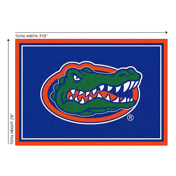 Flash Sale University of Florida Area Rug, 3x4 Area Rugs