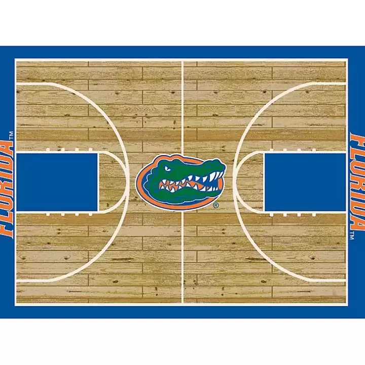 Shop University of Florida Courtside Area Rug, 4x6 Area Rugs