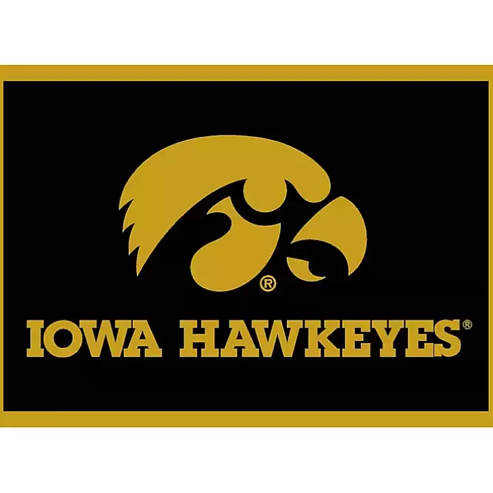 Outlet University of Iowa Area Rug, 4x6 Area Rugs