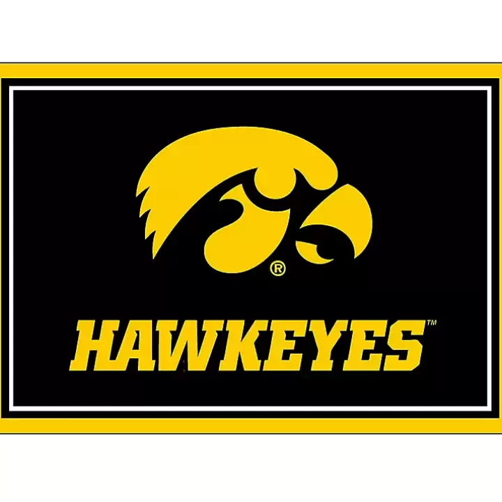 New University of Iowa Area Rug, 3x4 Area Rugs