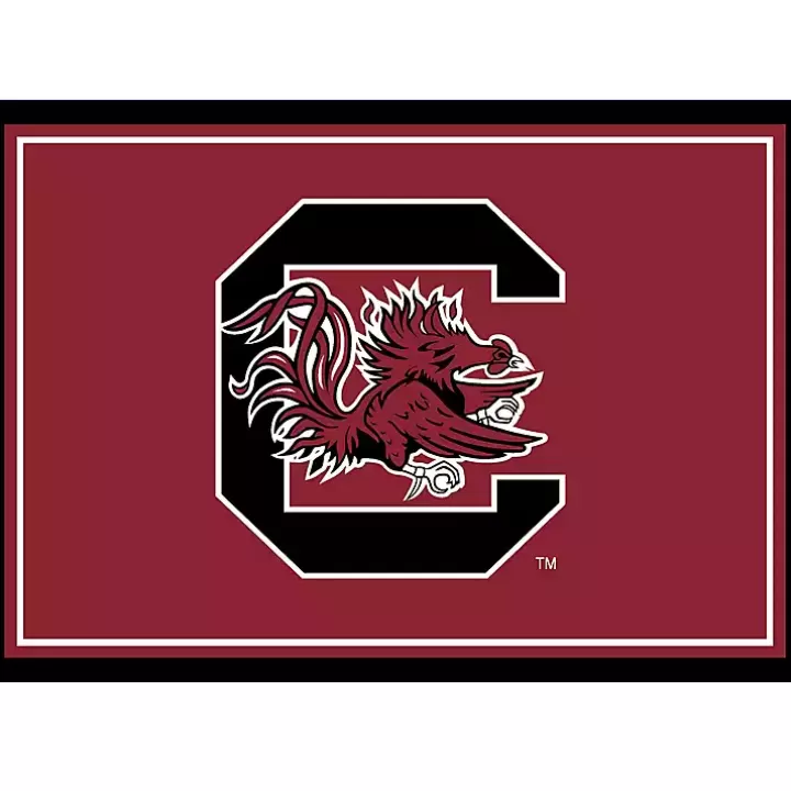 Store University of South Carolina Area Rug, 3x4 Area Rugs