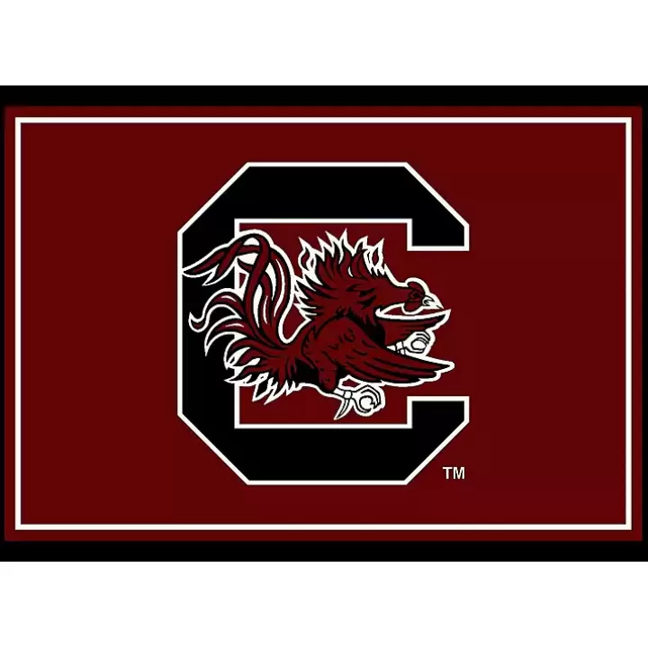 Outlet University of South Carolina Area Rug, 4x6 Area Rugs