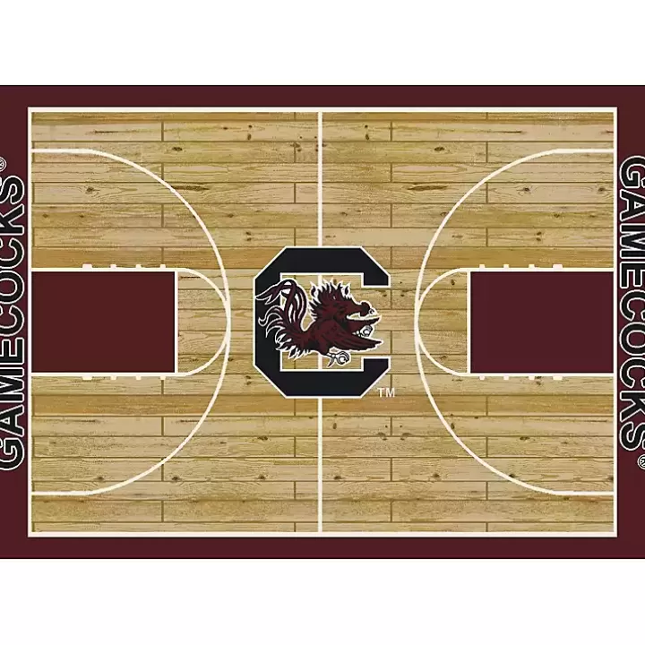 Outlet University of South Carolina Courtside Rug, 4x6 Area Rugs