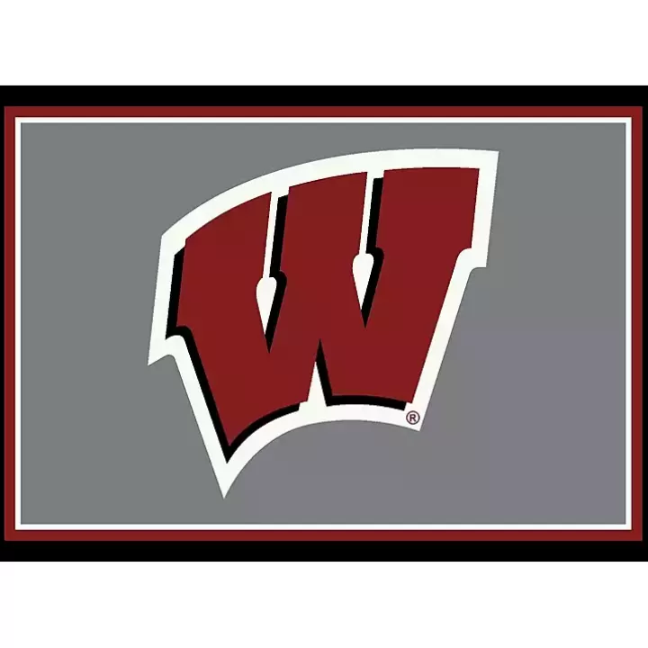 New University of Wisconsin Area Rug, 4x6 Area Rugs