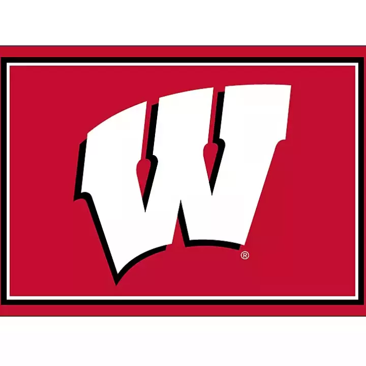 Clearance University of Wisconsin Area Rug, 3x4 Area Rugs