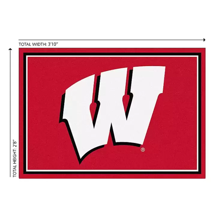 Clearance University of Wisconsin Area Rug, 3x4 Area Rugs