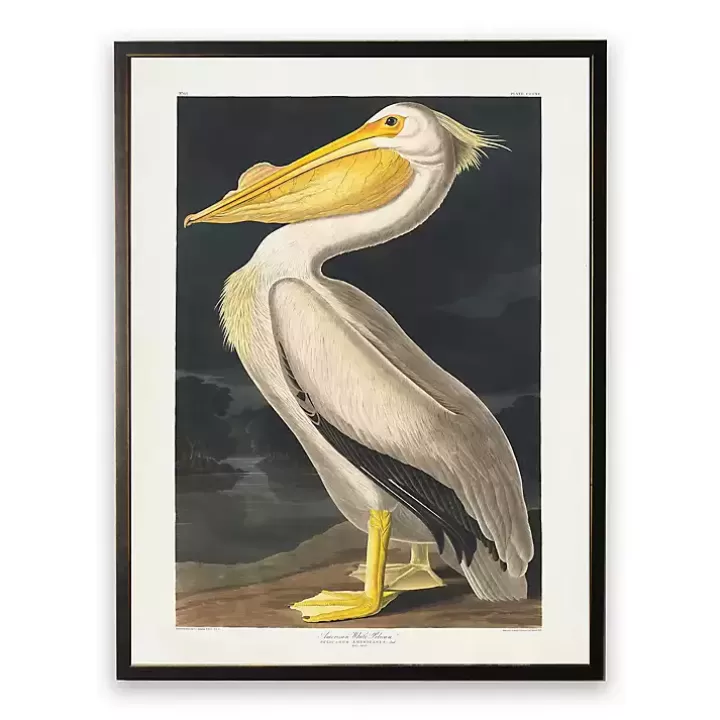 Outlet Vintage American White Pelican Framed Art Print Framed Art