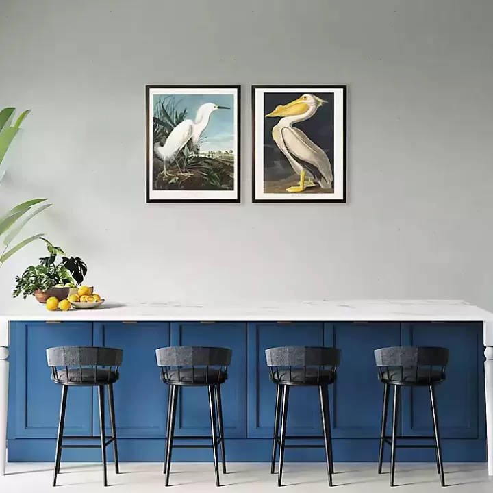 Outlet Vintage American White Pelican Framed Art Print Framed Art