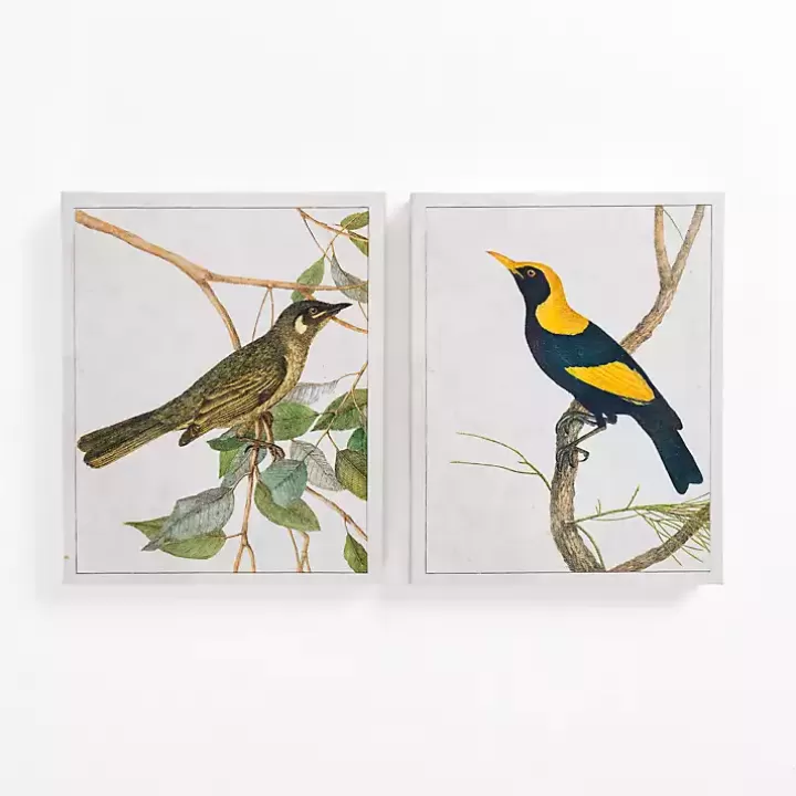 Outlet Vintage Birds Canvas Art Prints, Set of 2 Canvas Art