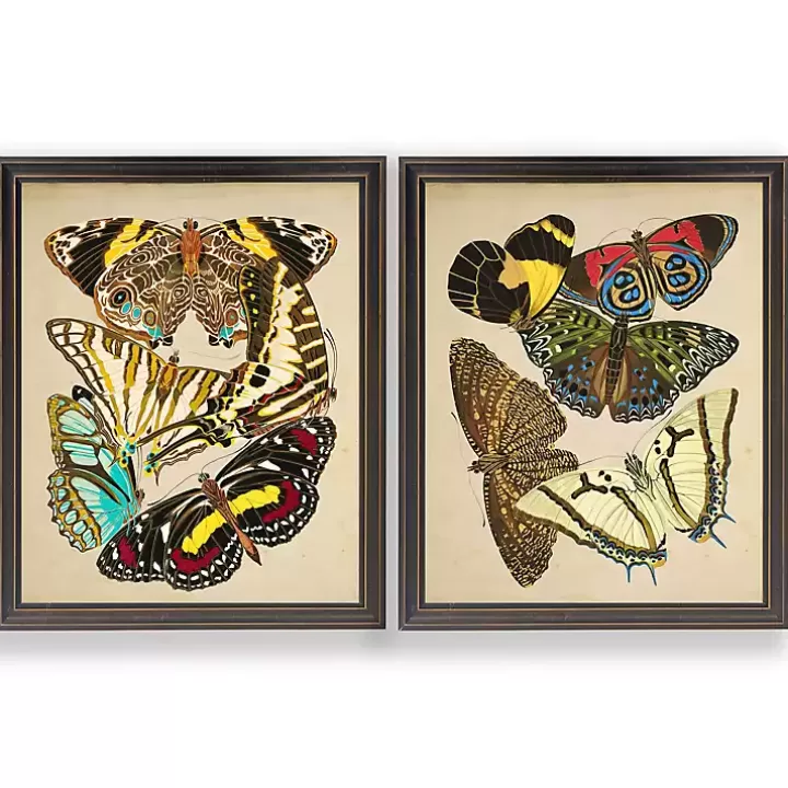 Outlet Vintage Butterflies I Framed Art Prints, Set of 2 Framed Art