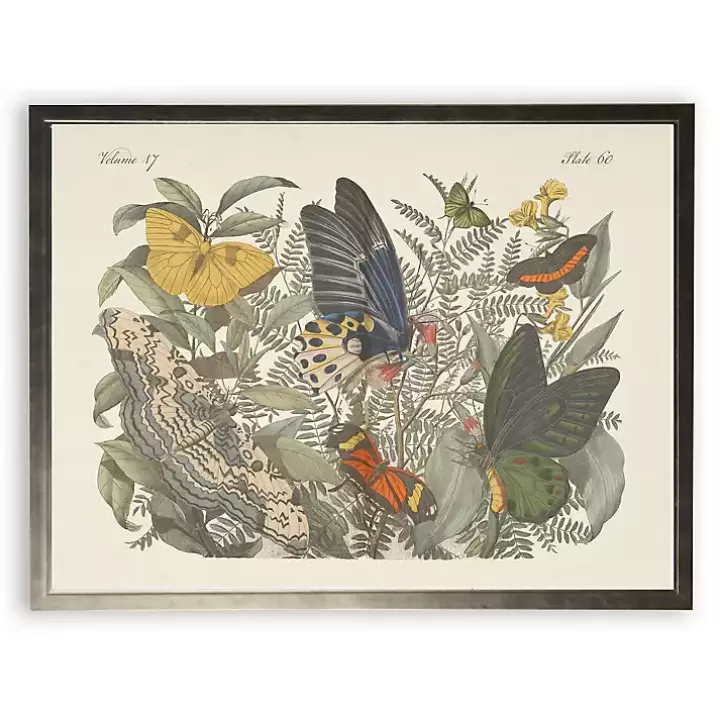 Best Vintage Butterfly Bookplate Framed Art Print Framed Art