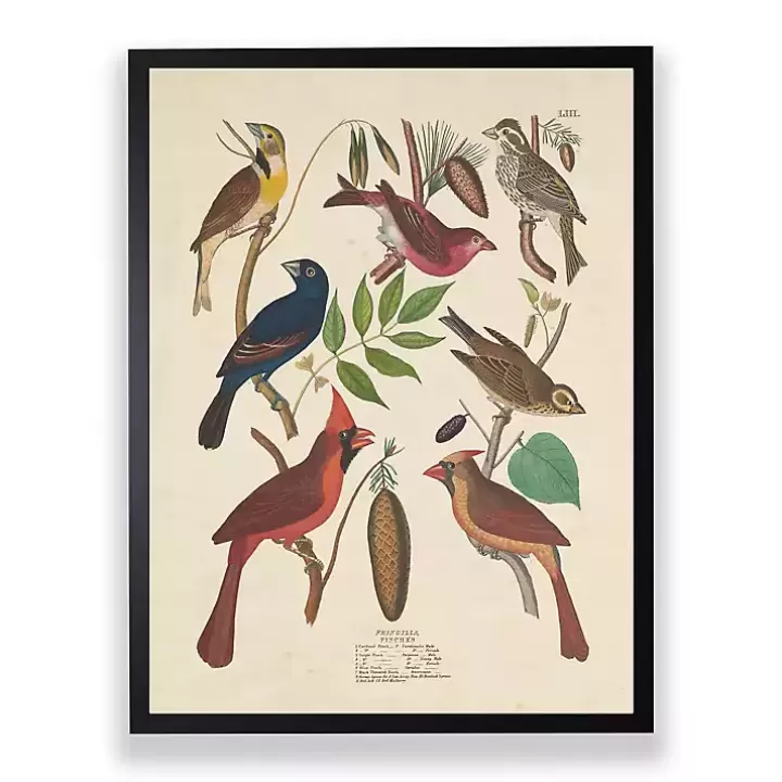 Fashion Vintage Finch Birds Framed Art Print Framed Art