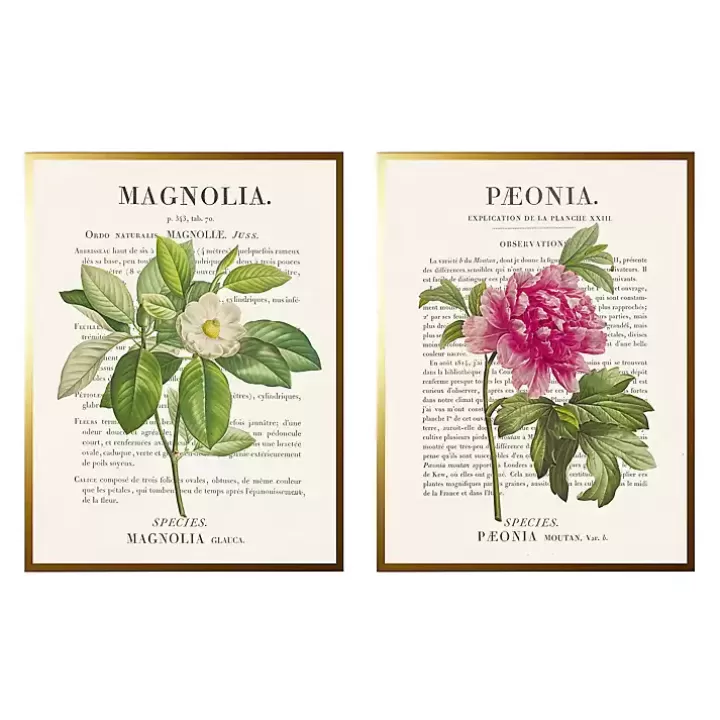 Flash Sale Vintage Floral Diagram Framed Art Prints, Set of 2 Framed Art