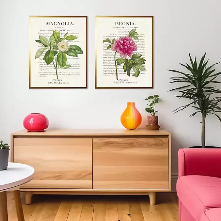 Flash Sale Vintage Floral Diagram Framed Art Prints, Set of 2 Framed Art