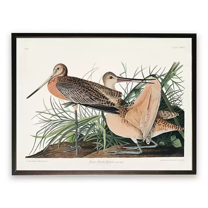 Best Vintage Great Marbled Godwit Framed Art Print Framed Art