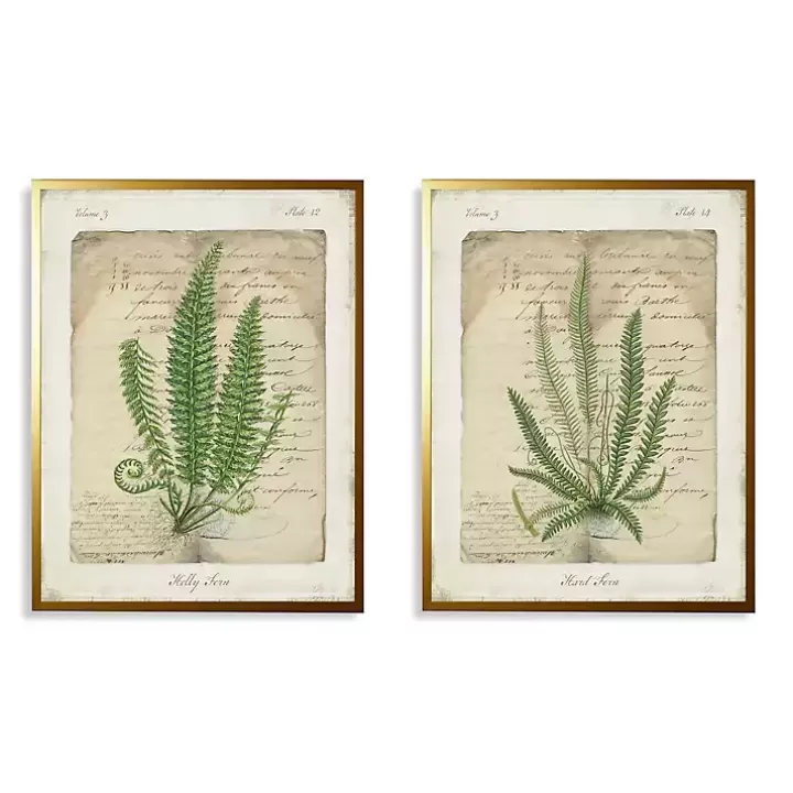 Clearance Vintage Green Ferns Framed Art Prints, Set of 2 Framed Art