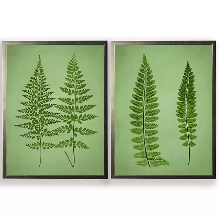 Best Vintage Ferns I Framed Art Prints, Set of 2 Framed Art