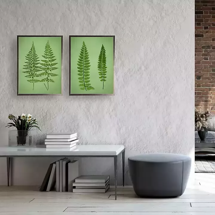 Best Vintage Ferns I Framed Art Prints, Set of 2 Framed Art