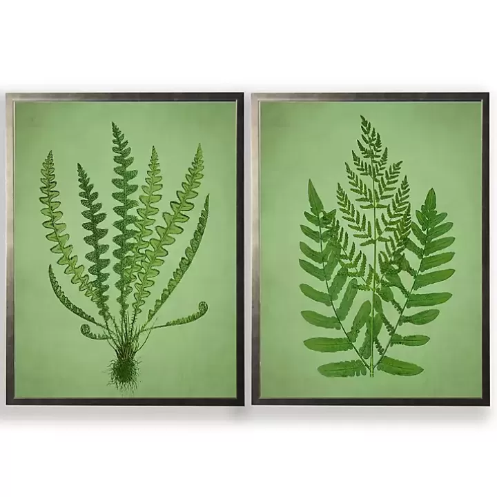 Fashion Vintage Ferns II Framed Art Prints, Set of 2 Framed Art