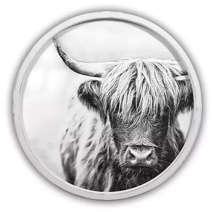 Flash Sale Vintage Highland White Framed Art Print Framed Art
