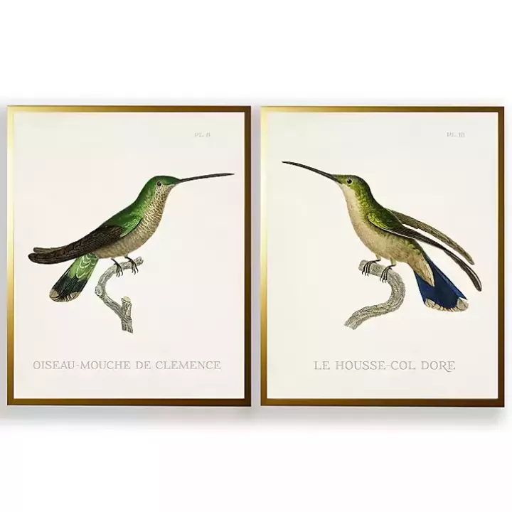 Shop Vintage Hummingbird II 2-pc. Framed Art Print Set Framed Art