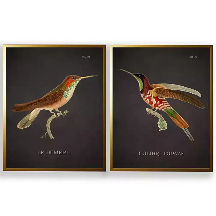 Hot Vintage Hummingbird III 2-pc. Framed Art Print Set Framed Art