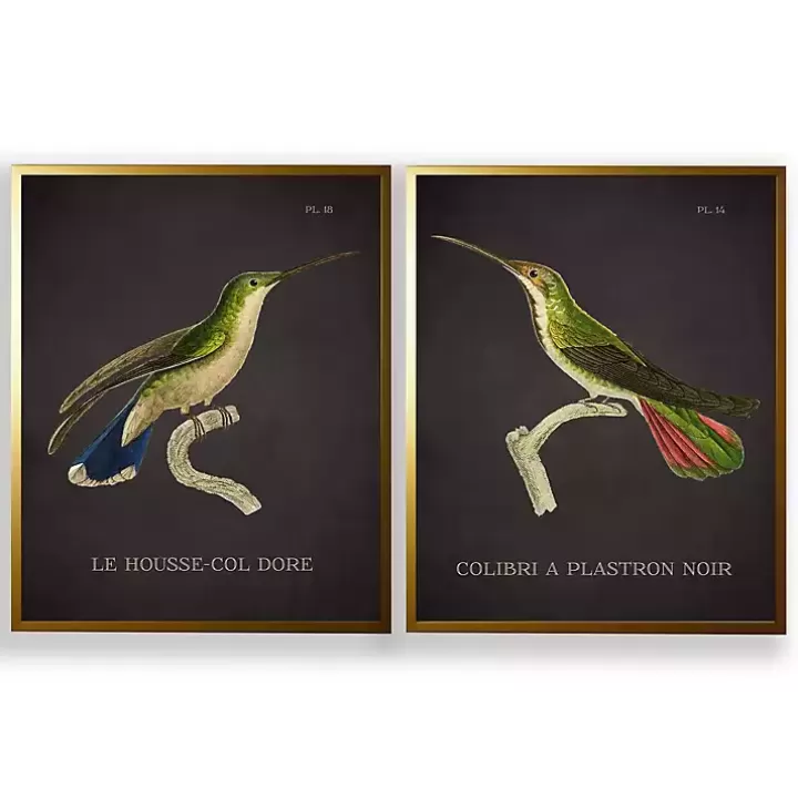 Cheap Vintage Hummingbird IV 2-pc. Framed Art Print Set Framed Art