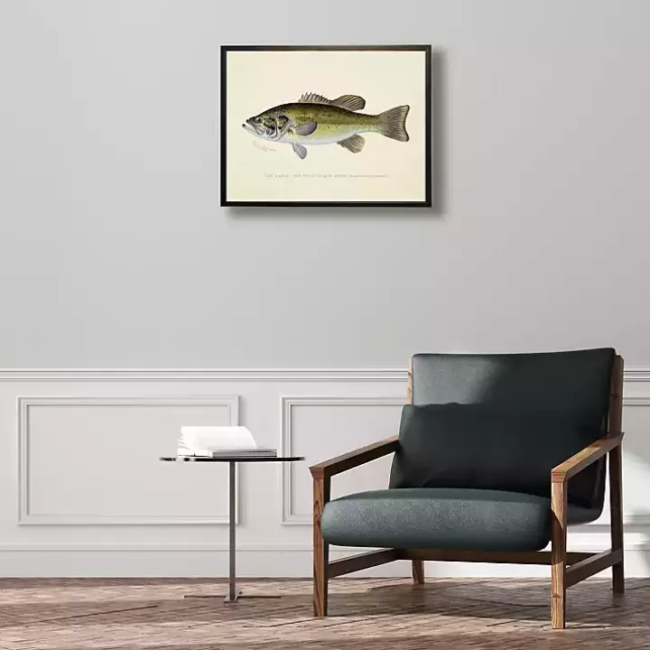 New Vintage Large Mouthed Bass Framed Art Print Framed Art