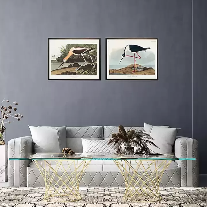 Store Vintage Long Legged Avocet Framed Art Print Framed Art