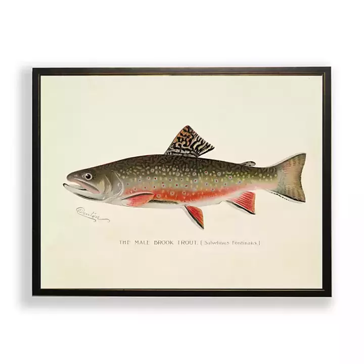Flash Sale Vintage Male Book Trout Framed Art Print Framed Art