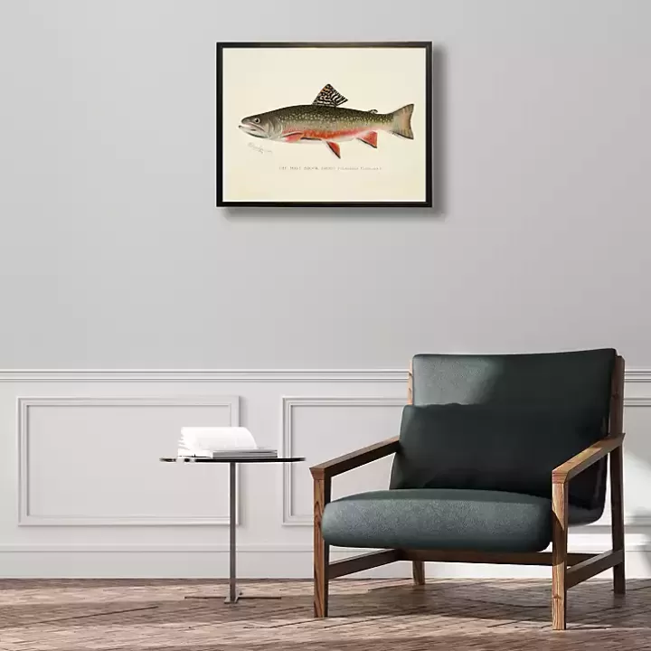 Flash Sale Vintage Male Book Trout Framed Art Print Framed Art