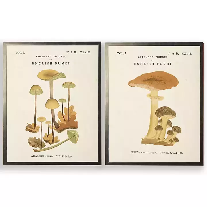 Best Sale Vintage Mushrooms II Framed Art Prints, Set of 2 Framed Art