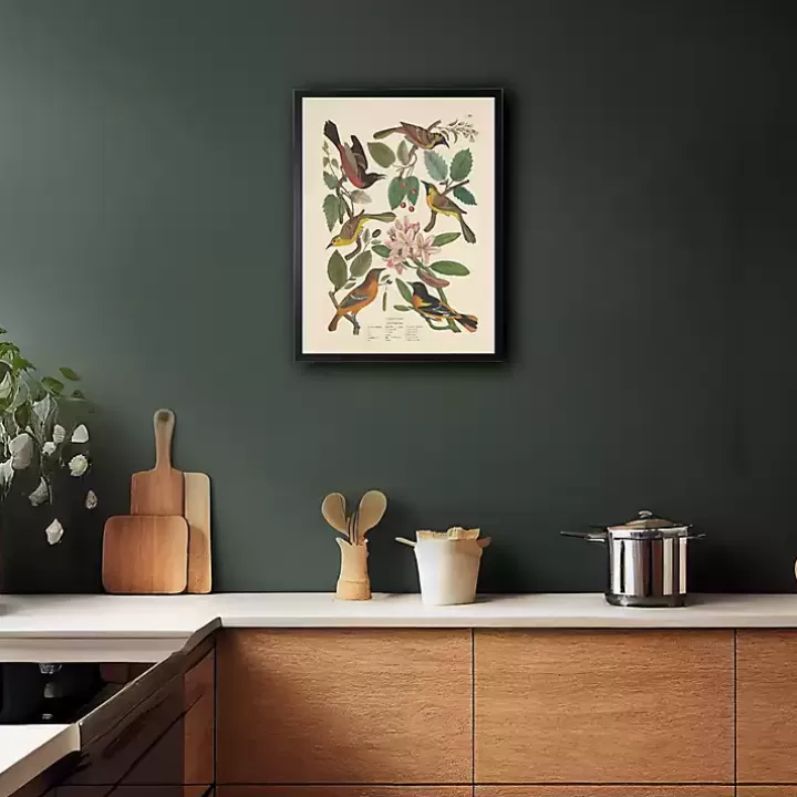 Cheap Vintage Oriole Birds Framed Art Print Framed Art