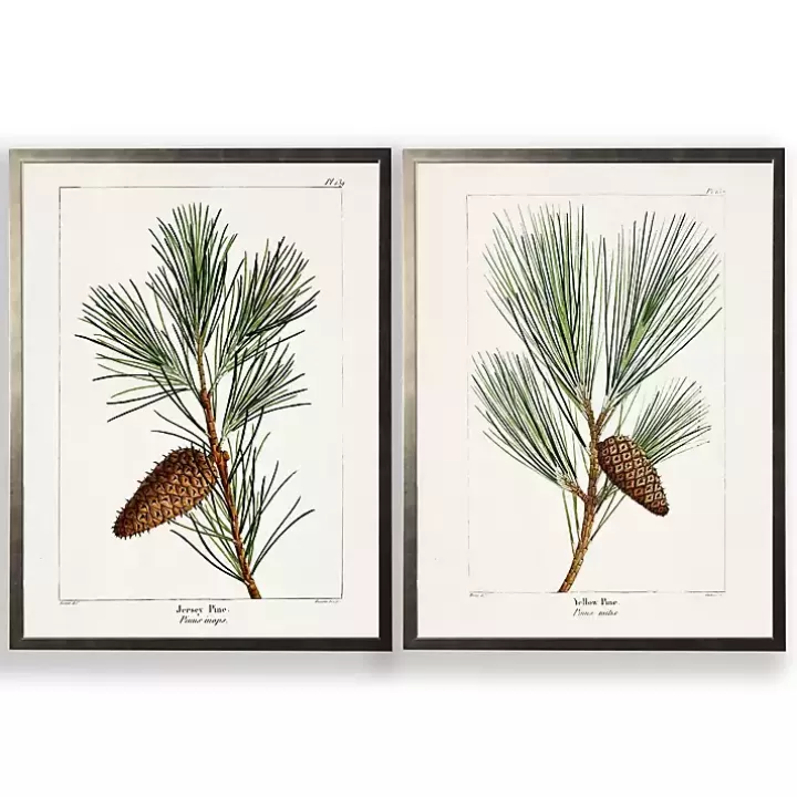 Flash Sale Vintage Pine Leaves Framed Art Prints, Set of 2 Framed Art
