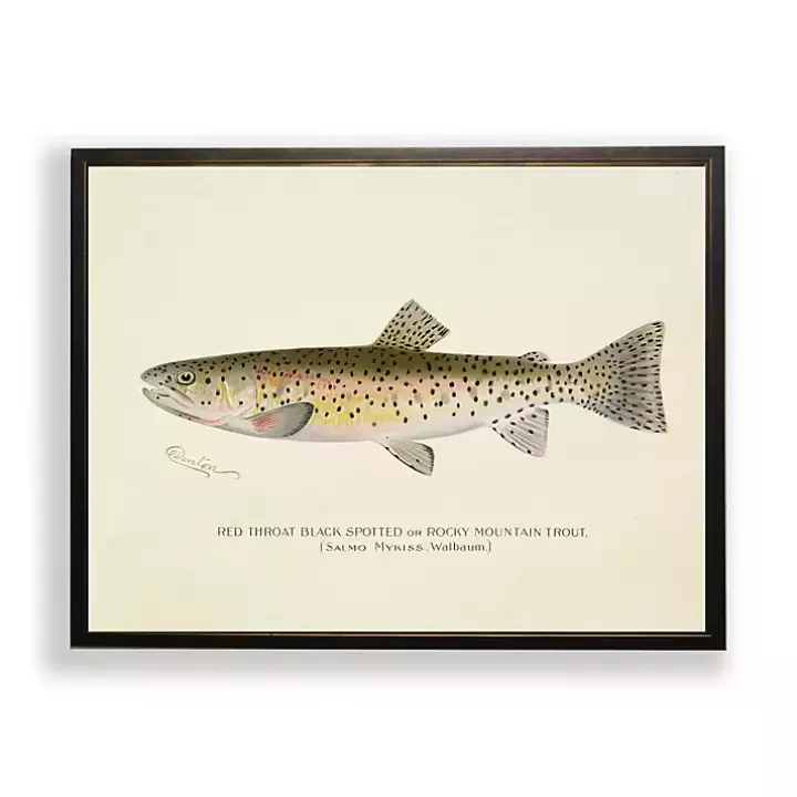 Fashion Vintage Rocky Mountain Trout Framed Art Print Framed Art