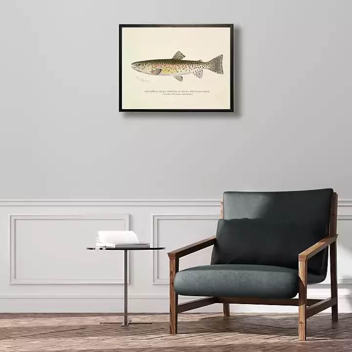 Fashion Vintage Rocky Mountain Trout Framed Art Print Framed Art