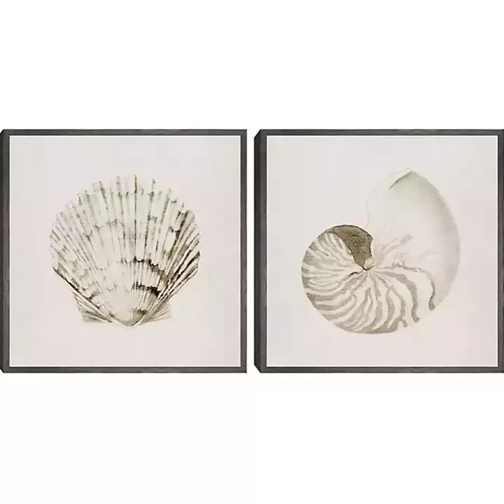 Shop Vintage Shells Framed Canvas Art Prints, Set of 2 Canvas Art