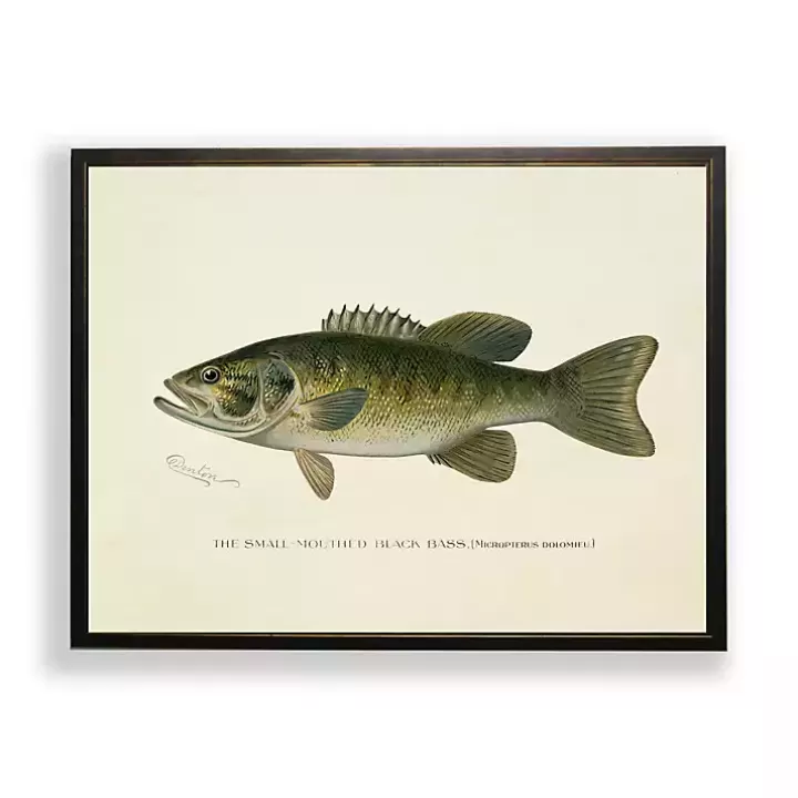 Cheap Vintage Small Mouthed Bass Framed Art Print Framed Art