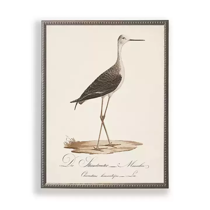 New Vintage Waterbird Facing Right Framed Art Print Framed Art