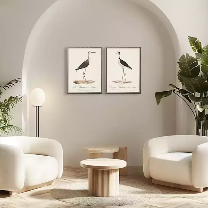New Vintage Waterbird Facing Right Framed Art Print Framed Art