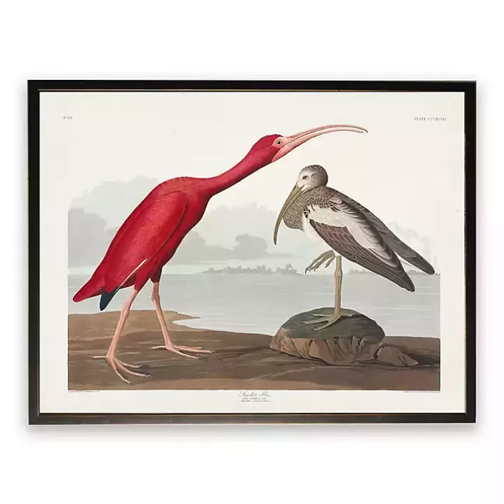Clearance Vintage Waterbird Pair Bookplate Framed Art Print Framed Art