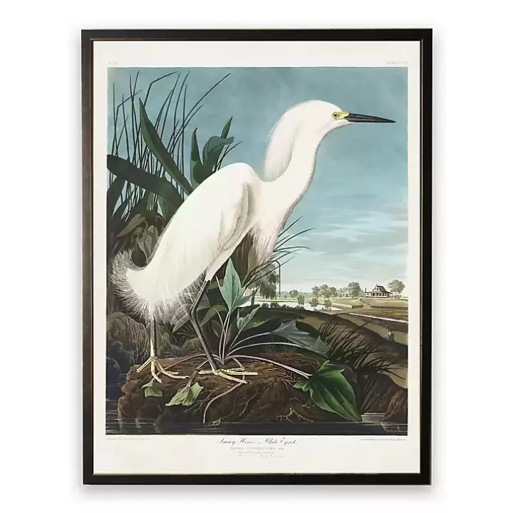 Clearance Vintage White Egret Bookplate Framed Art Print Framed Art